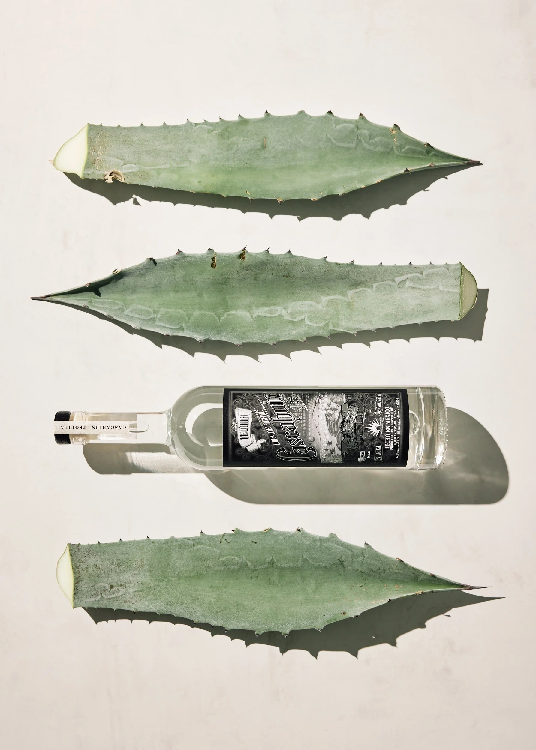 Bottle-of-Cascahuin-Tequila-with-Agave-Leaves.jpg