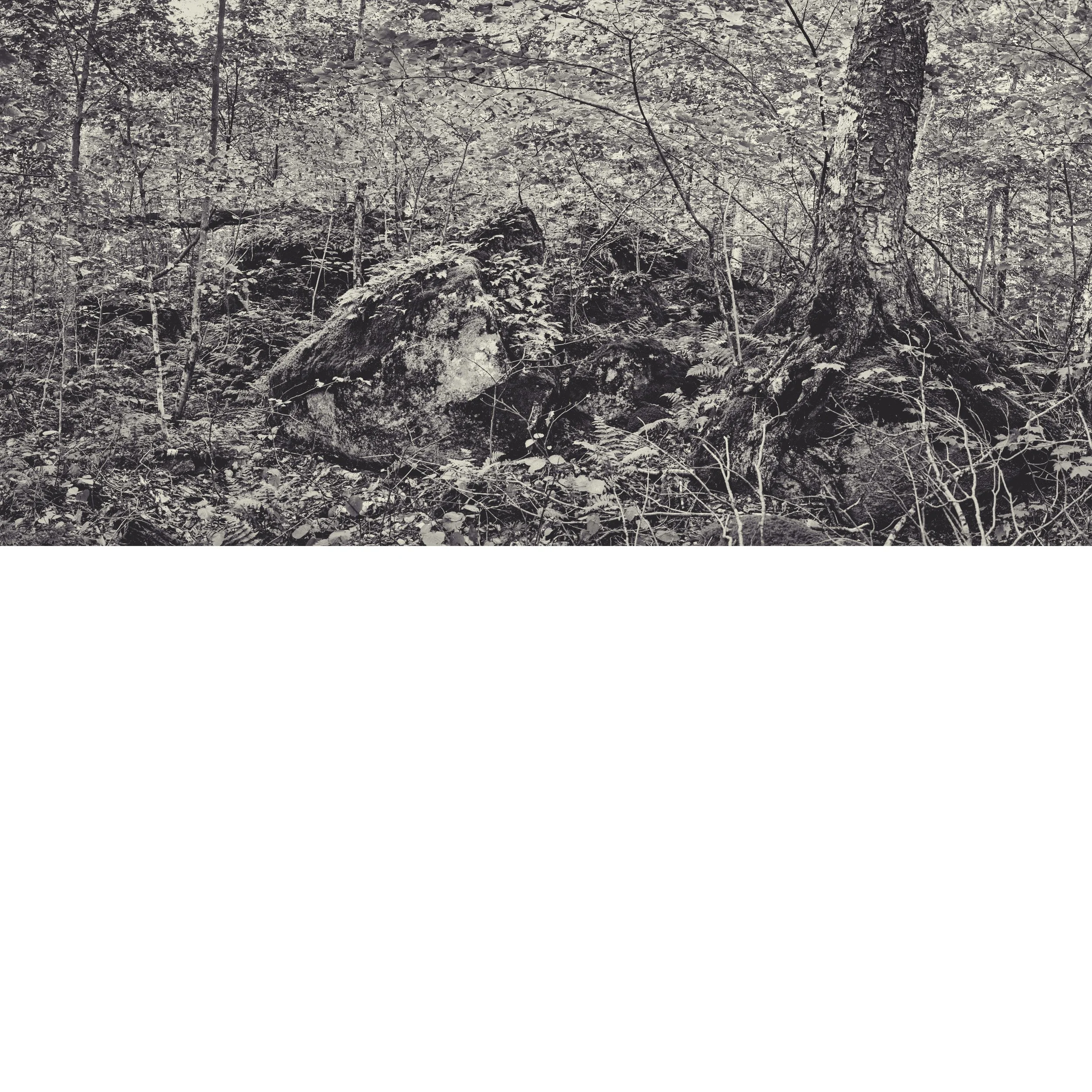 Lafayette Creek No 1