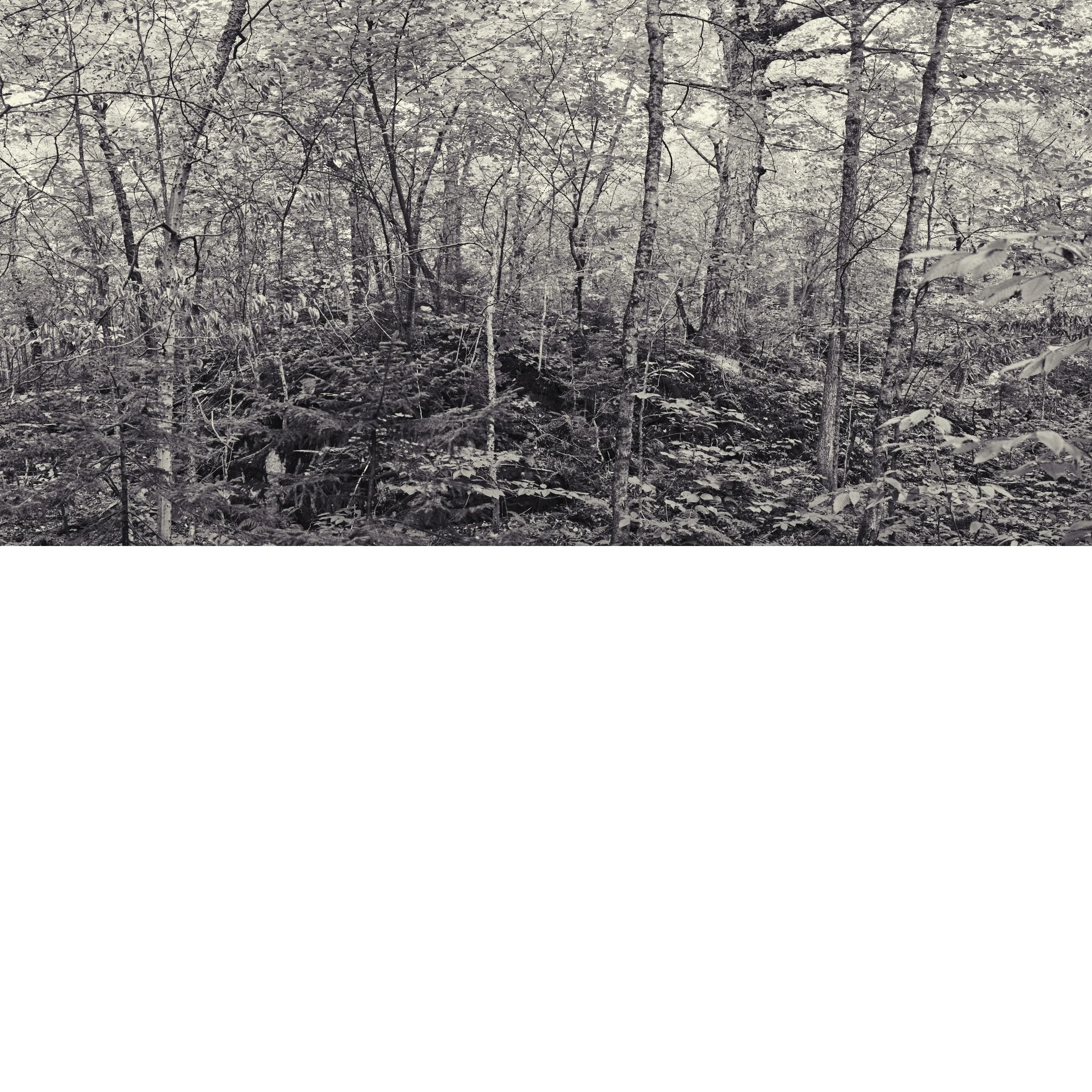 Mt Sunapee No 2.jpg