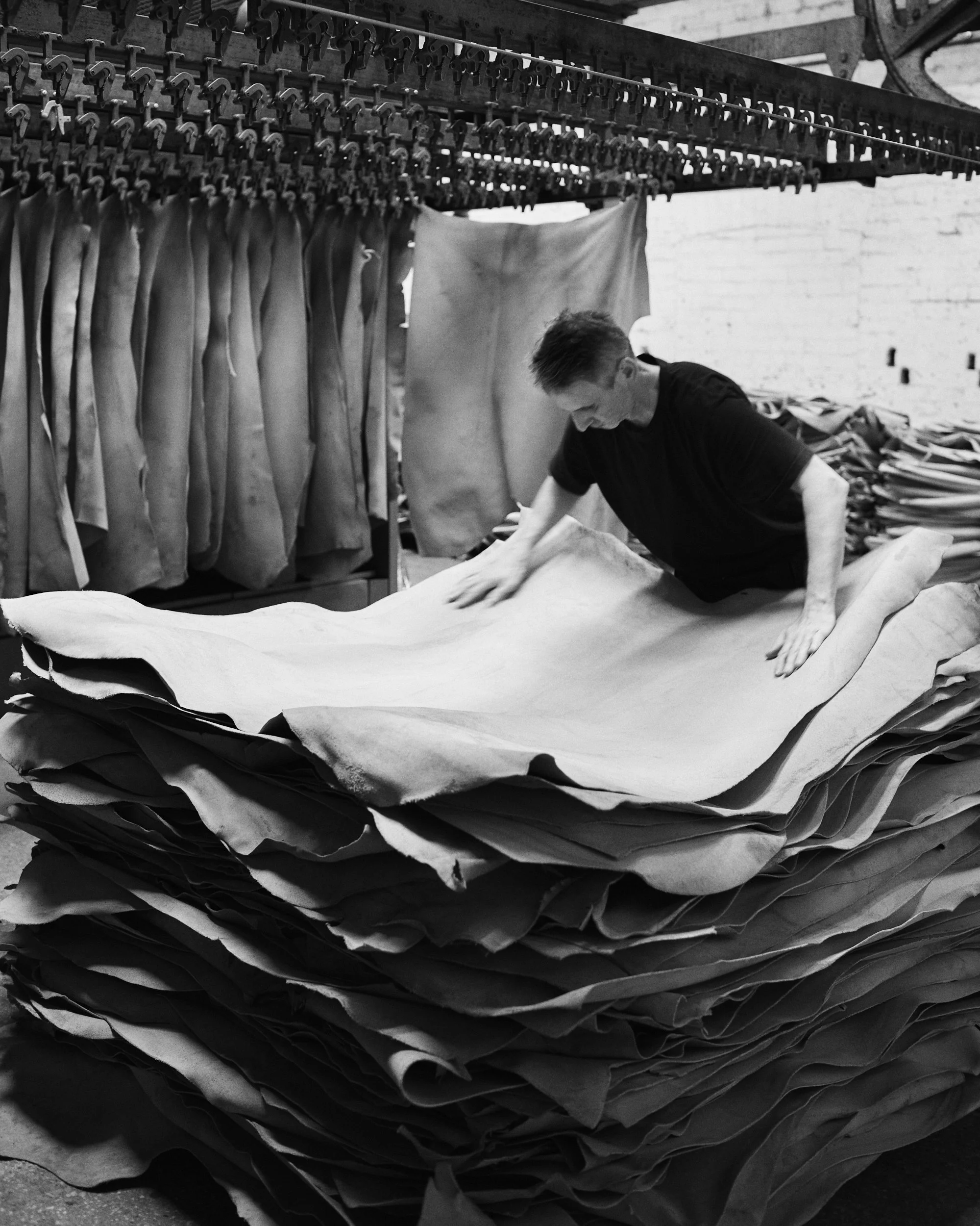 Man-inspecting-dried-hides-Stead-Tannery.jpg