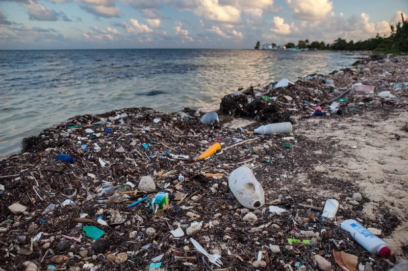 200 Countries Call For End to Plastic Pollution