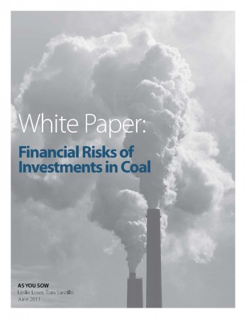 White Paper: Financial Risks of Investments in Coal