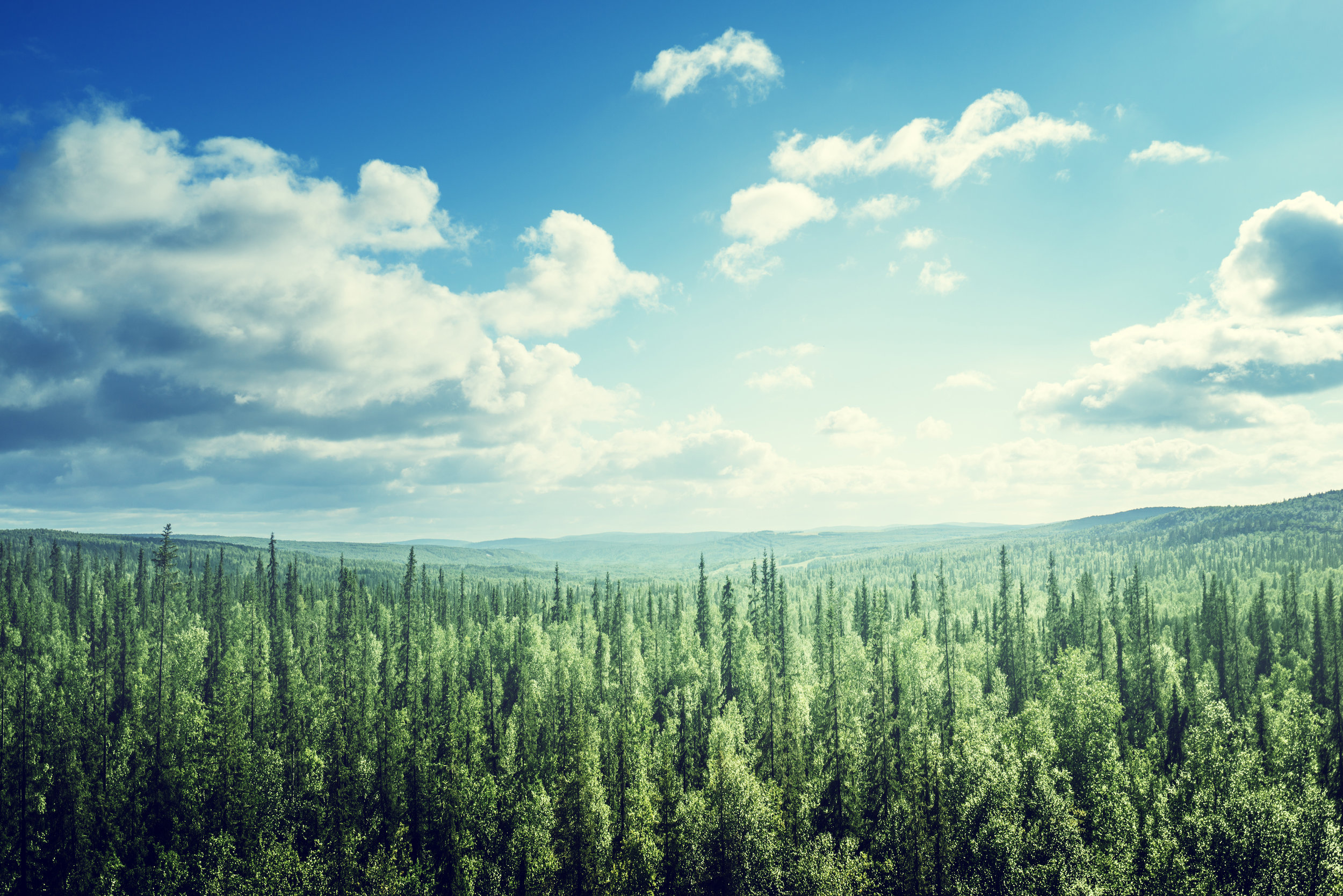 AdobeStock_89229092.jpeg