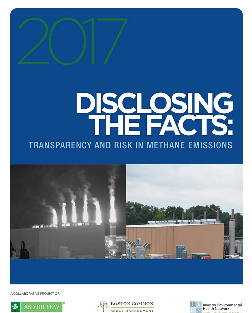 Disclosing the Facts 2017