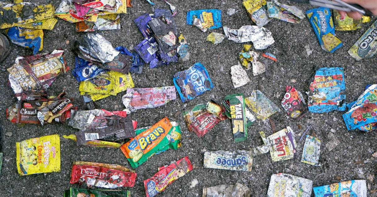 Freedom Island Coastal Cleanup and Brand Audit, September 2017. Photo credit: #breakfreefromplastic