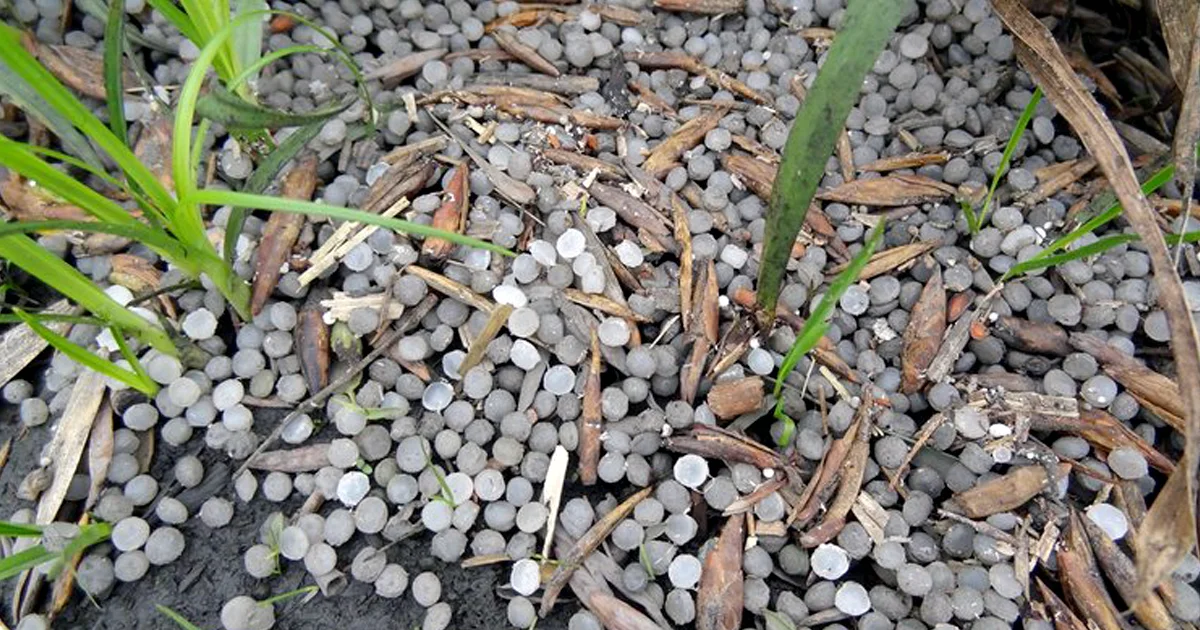 ExxonMobil Agrees to Report on Plastic Pollution Pellet Spills