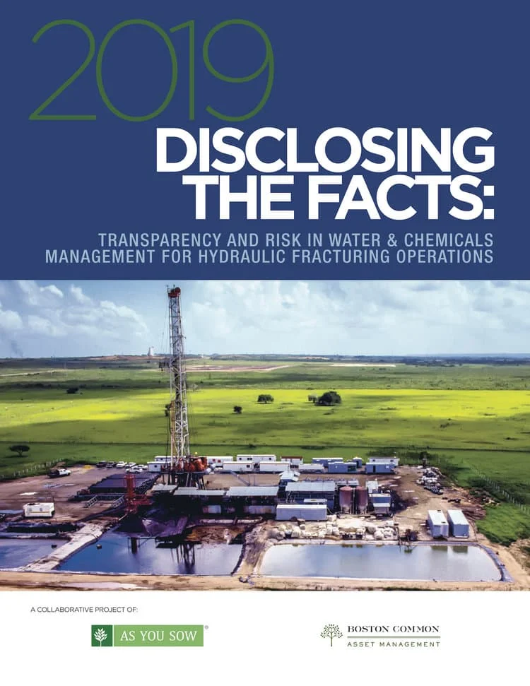 Disclosing the Facts 2019