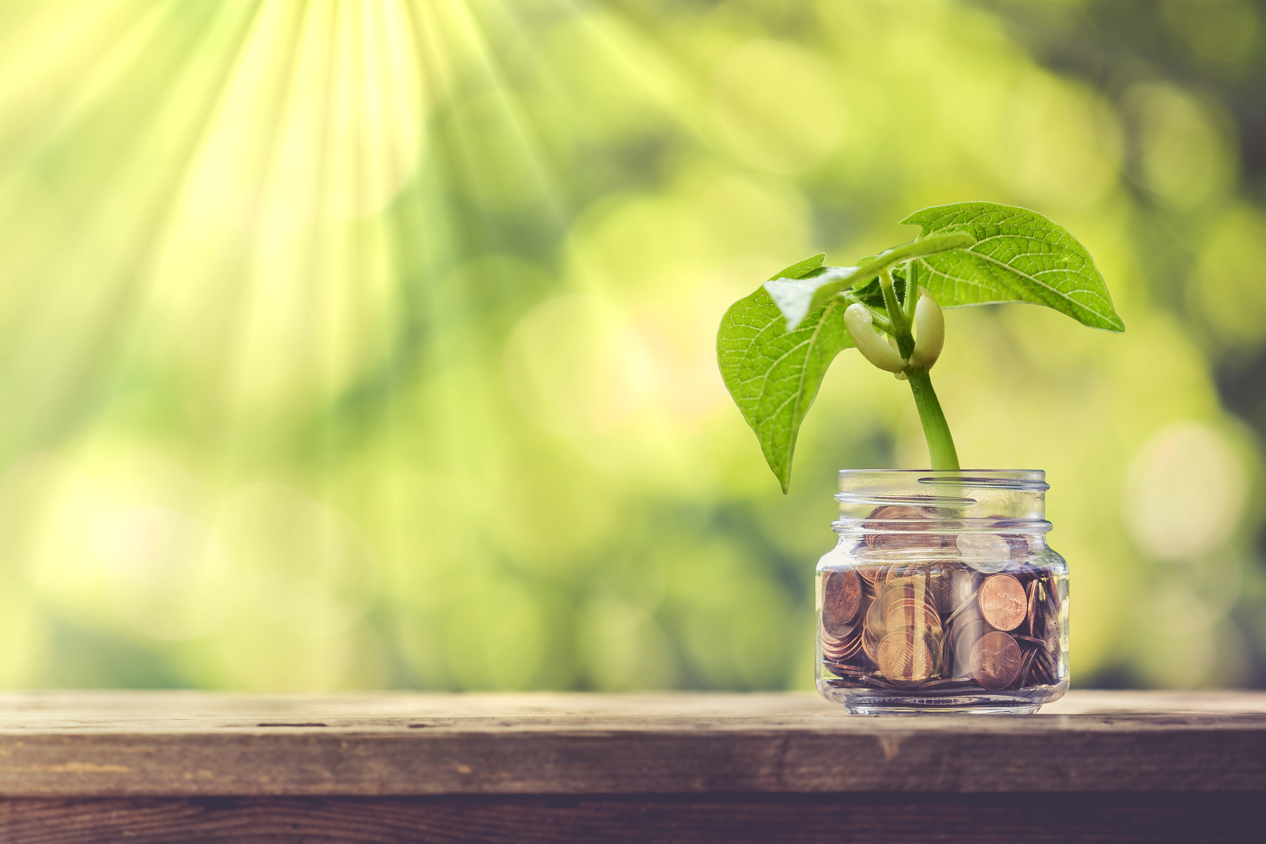 AdobeStock_162065706-jar.jpeg