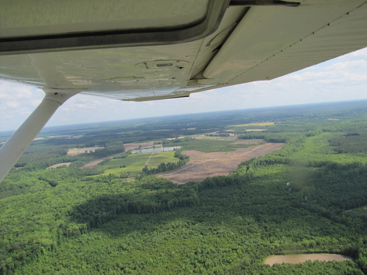 2015-Enviva-Investigation-3-Ariel-image-of-the-clearcut.jpeg