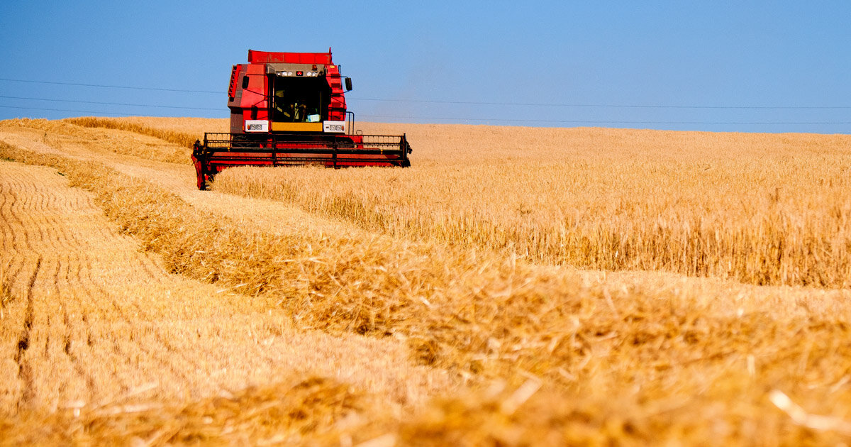 Kellogg Announces Commitment to Phase Out Glyphosate in Wheat and Oat Supply Chains