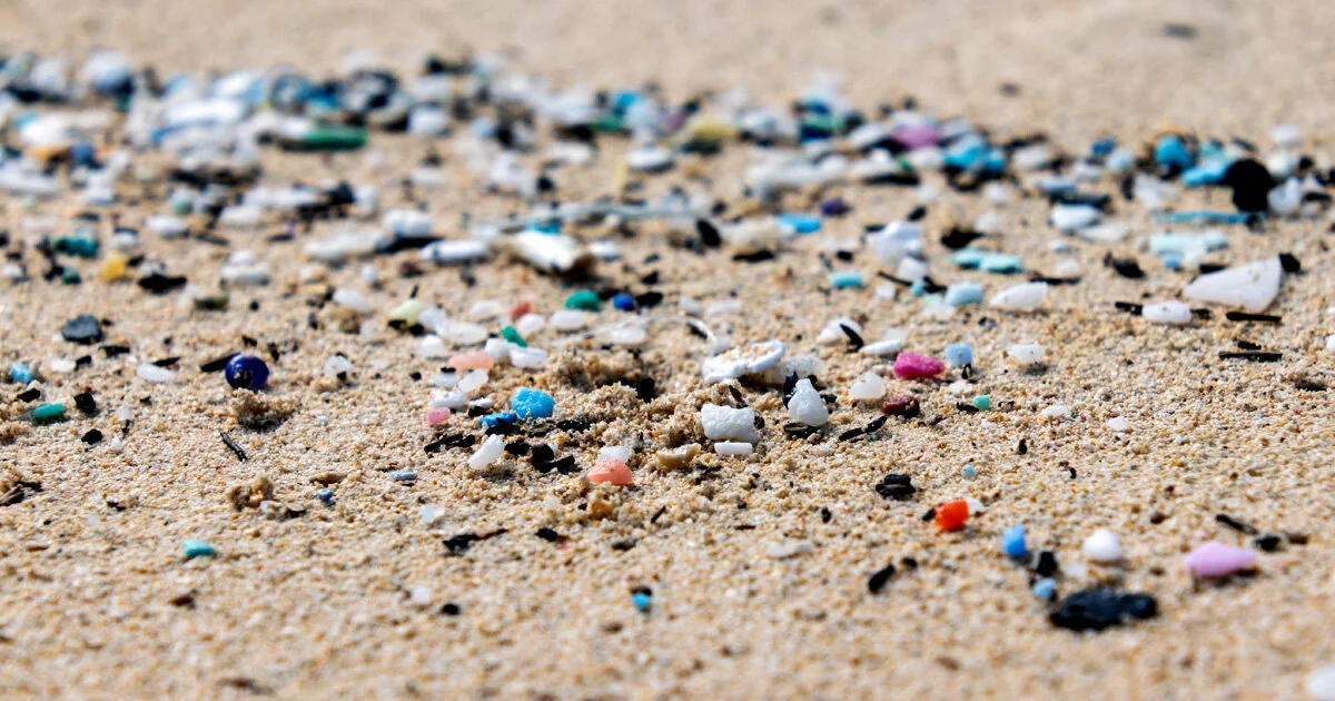 Fourth Large Plastics Manufacturer Agrees to Report on Plastic Pollution Pellet Spills