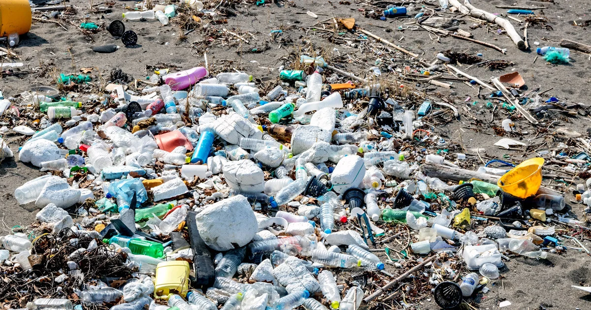 YUM! Brands Agrees to Phase Out Polystyrene Foam Packaging by 2022 Following Engagement With As You Sow