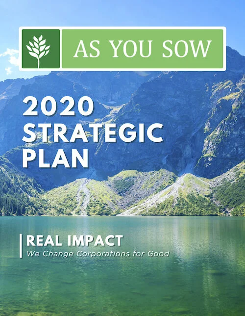 2020 Strategic Plan