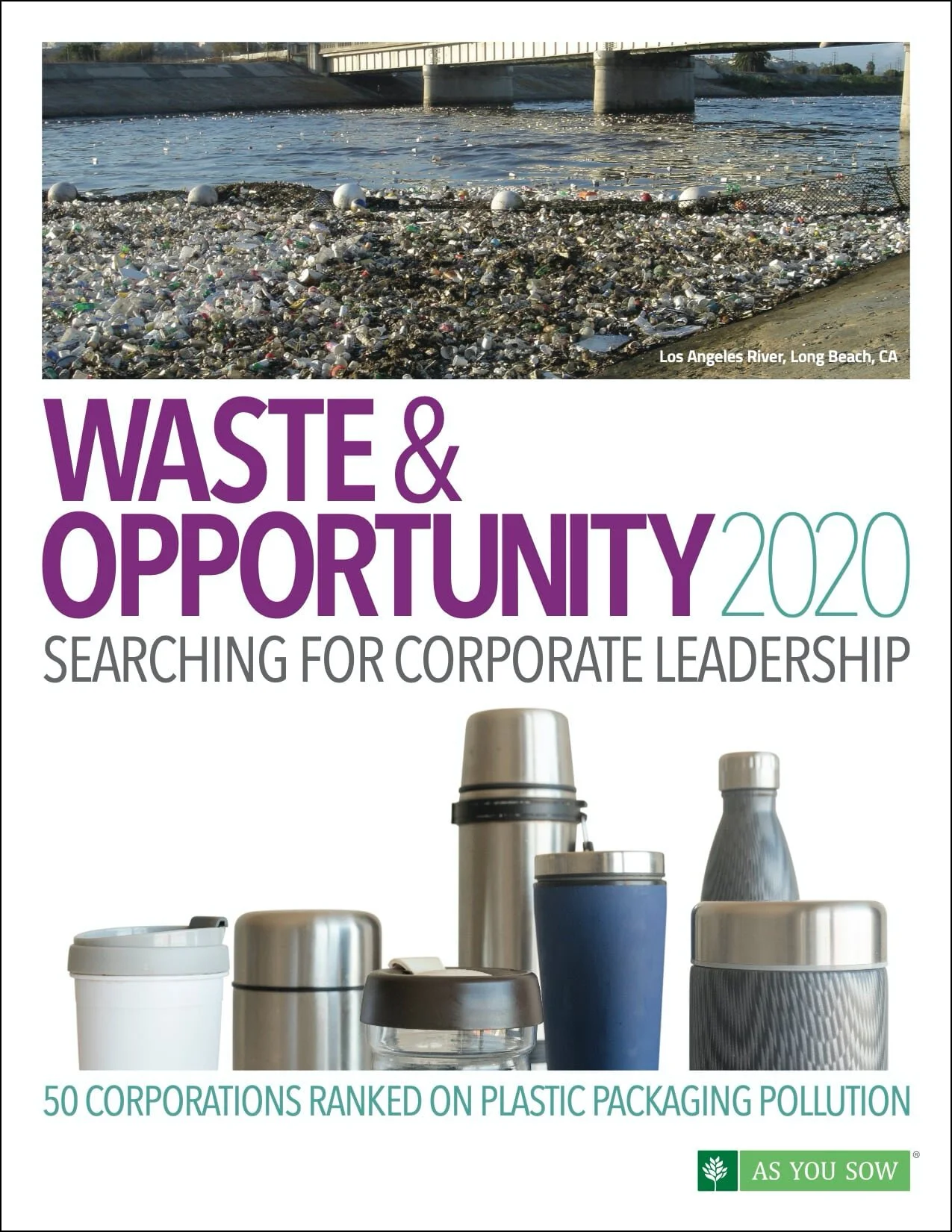 Waste and Opportunity 2020: Searching for Corporate Leadership