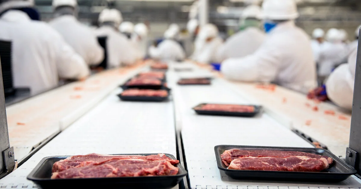 Coronavirus Outbreaks Expose Fragile Meat Supply Chain