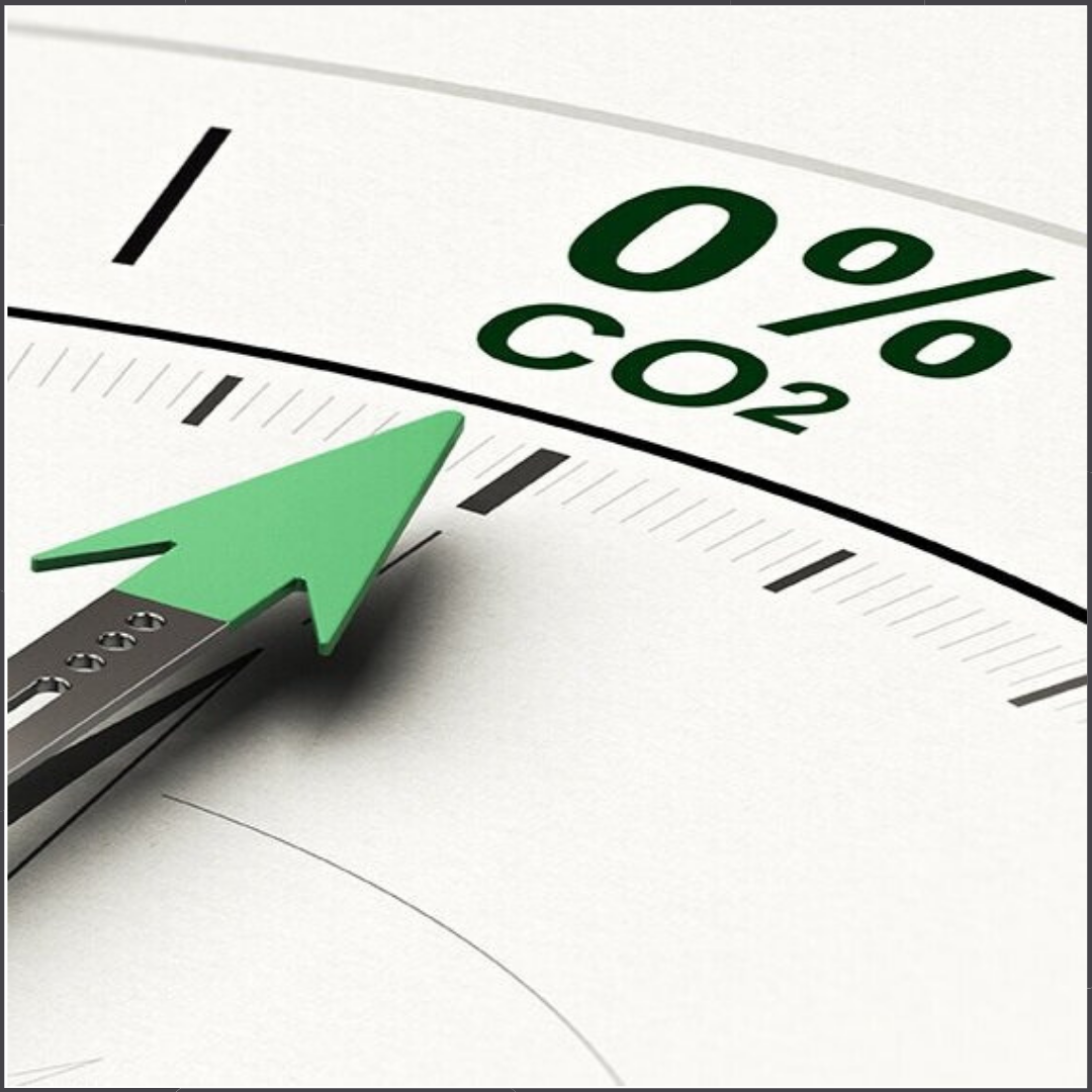 Opportunities and Risks of Fossil Free Investing