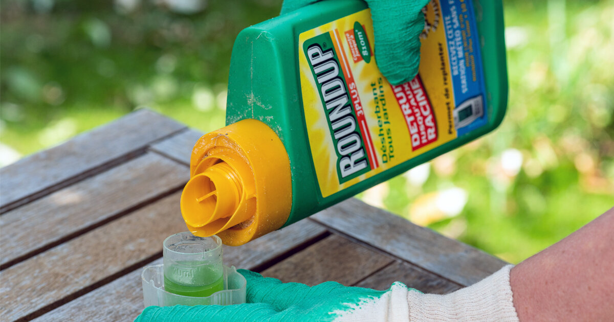 Bayer to remove glyphosate from lawn, garden Roundup products - Texas Farm  Bureau