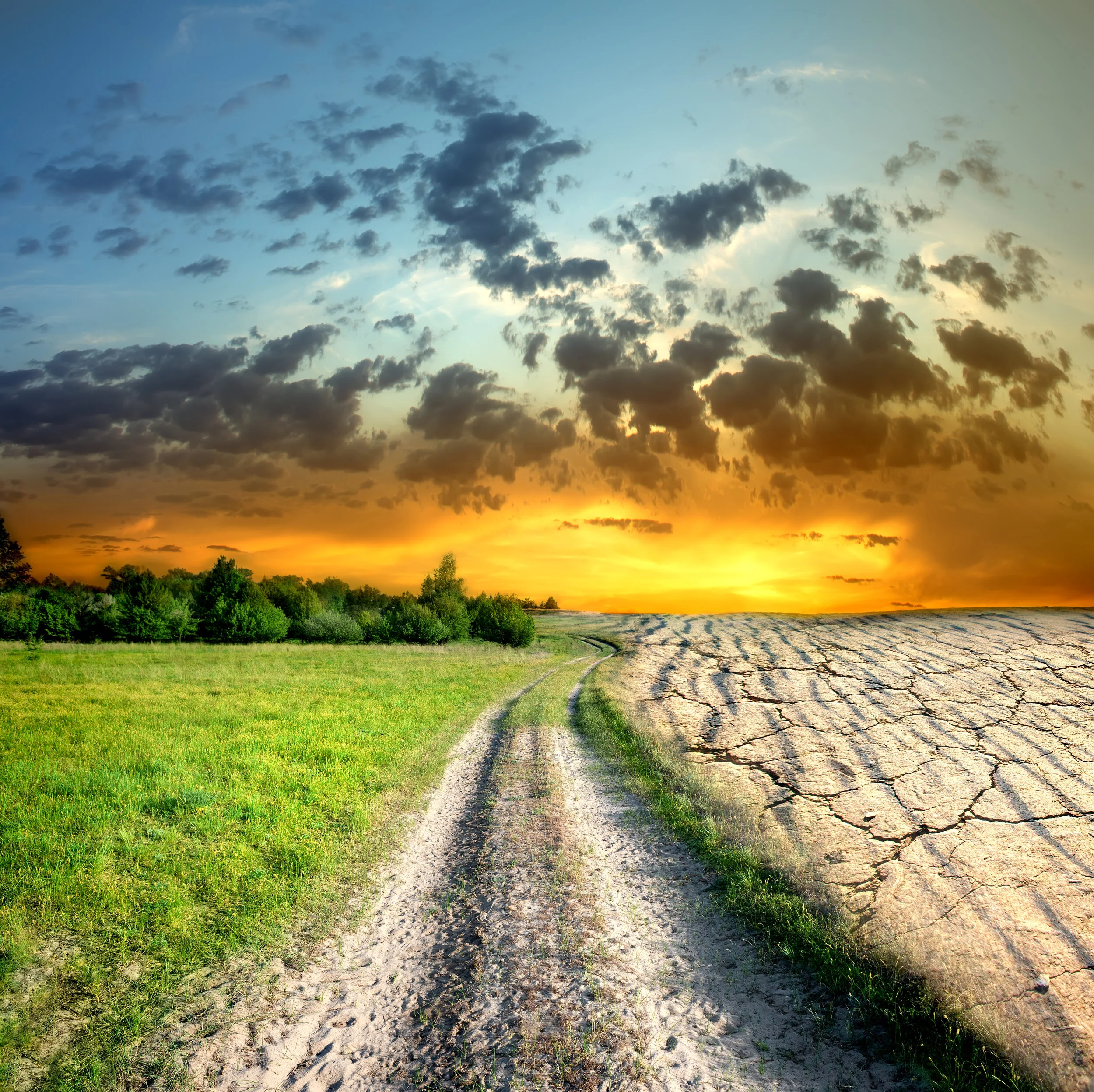 Are Companies Serious about Reducing Greenhouse Gas Emissions?  How Carbon Reductions Factor into Executive Pay