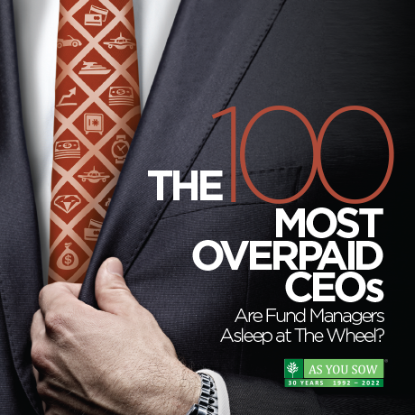 Opposition to CEO Pay Increases Could Bring Record Votes Against Pay in Coming Proxy Season