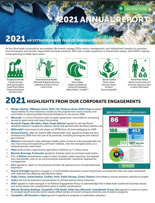 Annual Report 2021