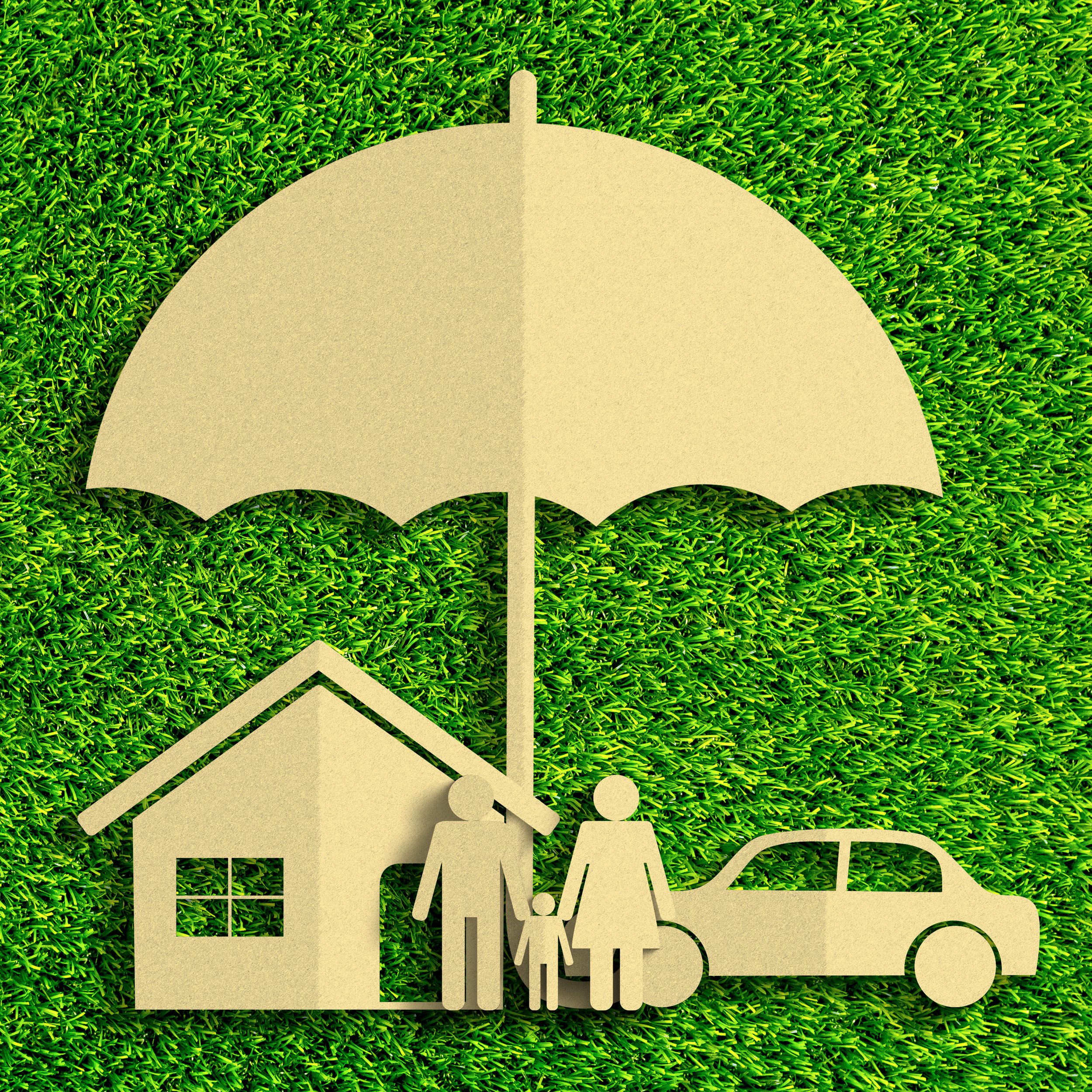 SEC Upholds Landmark Shareholder Proposals to Chubb and Travelers Seeking to Reduce Company's Scope 3 Climate Emissions