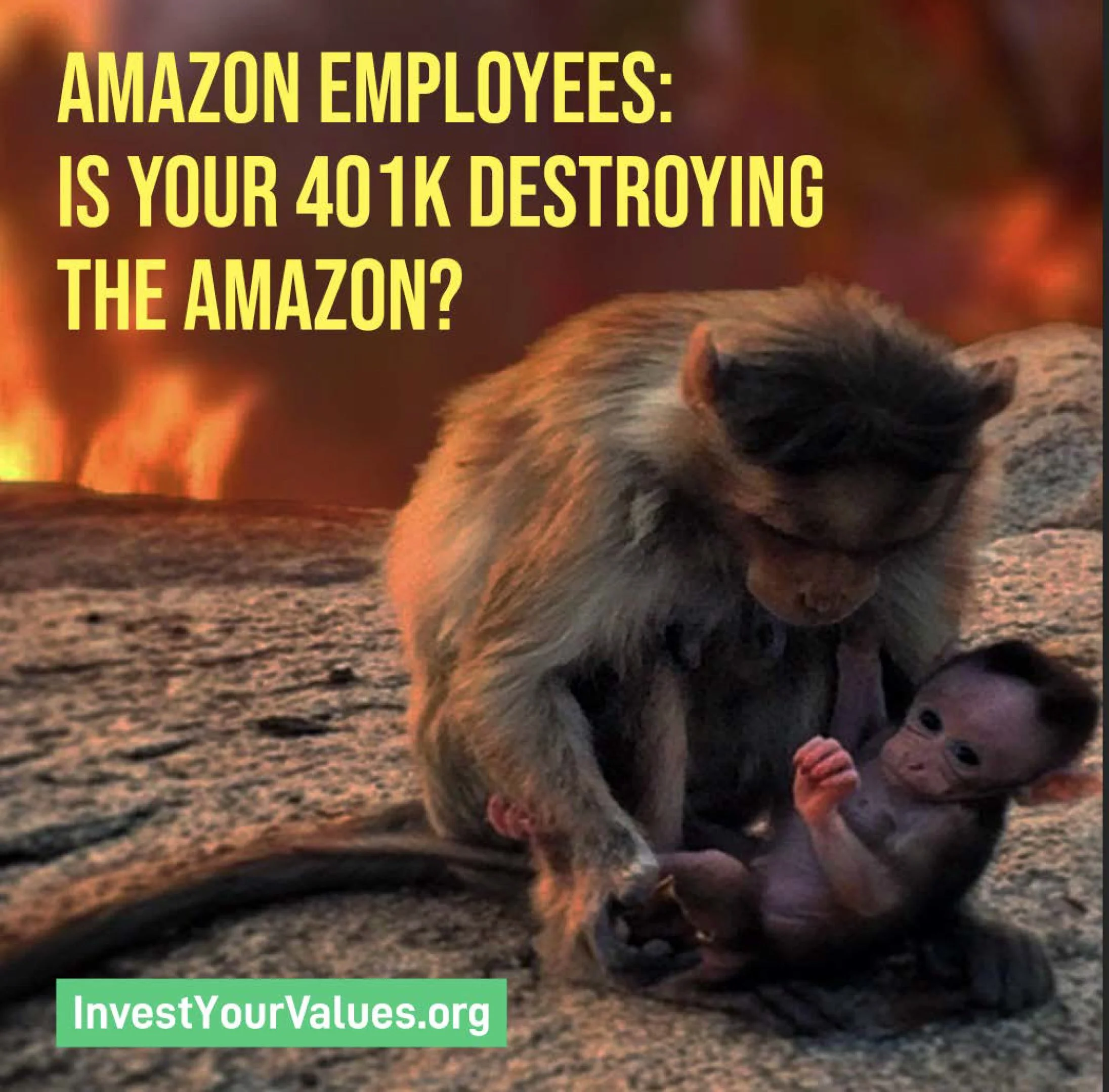 SEC Rules Against Amazon, Allows Shareholder Vote on 401(k) Plan Invested in Big Oil and Companies Burning Down the Amazon