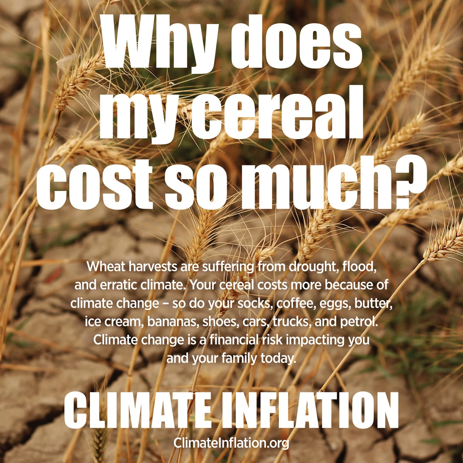 Climate Inflation Exposes True Cost of Skyrocketing Grocery Bills