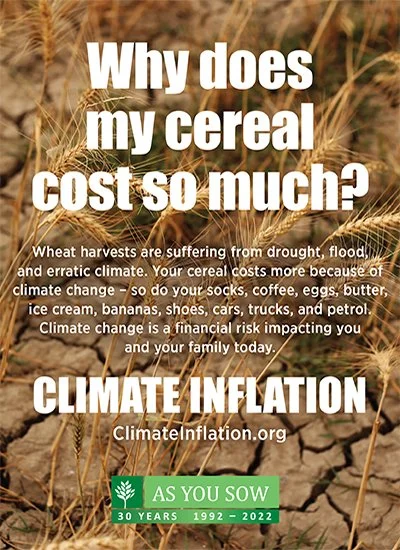 Andrew Behar Discusses Climate Inflation on Voice of America: Africa News Tonight