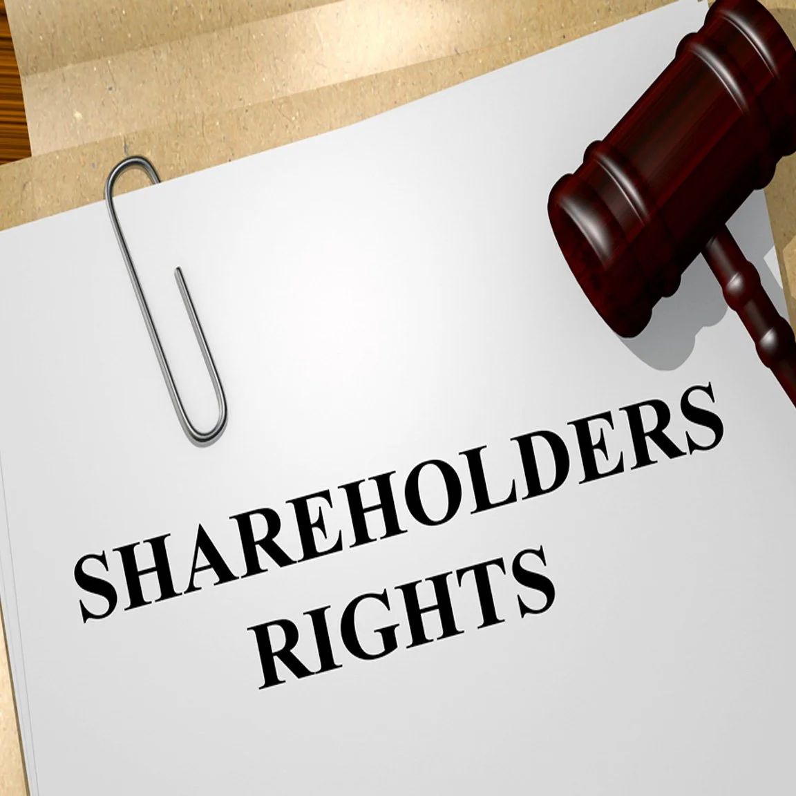 Protecting the Shareholder Proposal Process