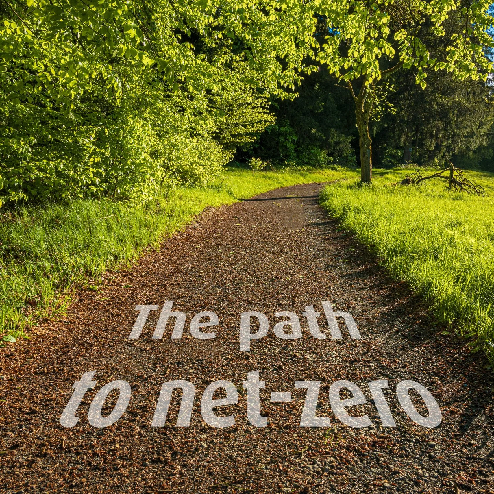 ‘As You Talk’: How Asset Managers Are Moving Portfolios Toward Net Zero Emissions 