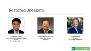 Webinar: 2021, Plastics - The Last Straw for Big Oil?