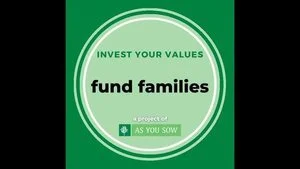 PSA: 2021, Invest Your Values - Fund Families