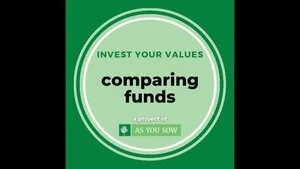 Invest Your Values: Comparing Funds