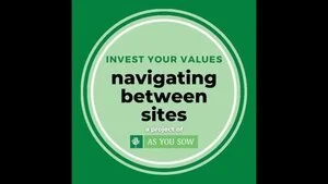 Invest Your Values: Navigating Between Sites