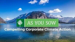 PSA: 2021, Compelling Corporate Climate Action