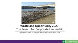 Webinar: 2020, Waste and Opportunity