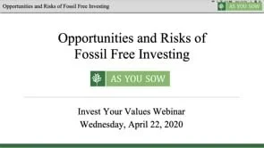 Webinar: 2020, Opportunities and Risks of Fossil Free Investing