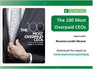 Webinar: 2016, The 100 Most Overpaid CEOs - Are Fund Managers Asleep at the Wheel?