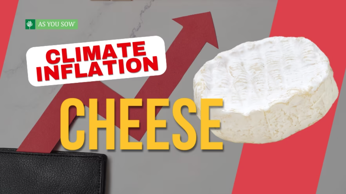 Climate Inflation in Cheese