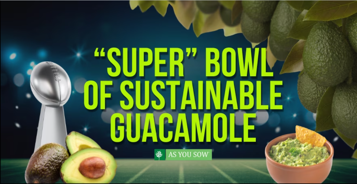"Super" Bowl of Sustainable Guacamole