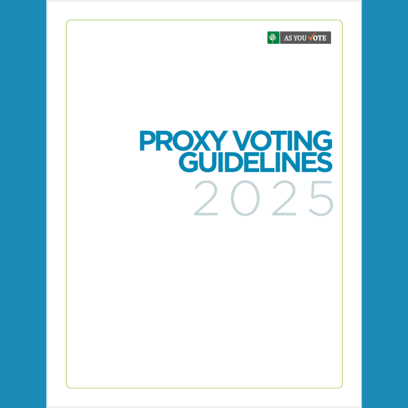 New 2025 As You Vote Proxy Voting Guidelines Reaffirm Commitment to Climate, Diversity and Sustainable Growth