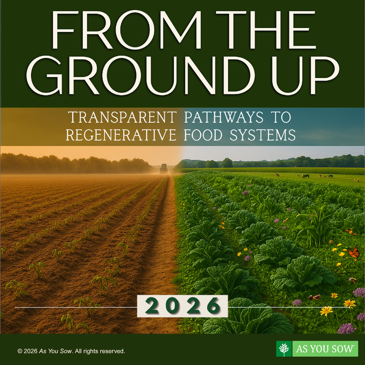New Report Finds Critical Gaps Remain in Major Food Companies’ Regenerative Agriculture Programs&nbsp;