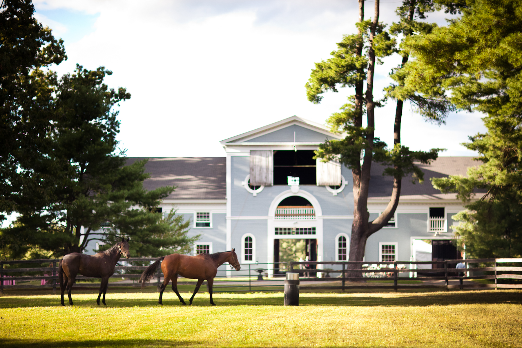 The Hill w- Horses Michelle&Josh by Dave Robbins.jpg