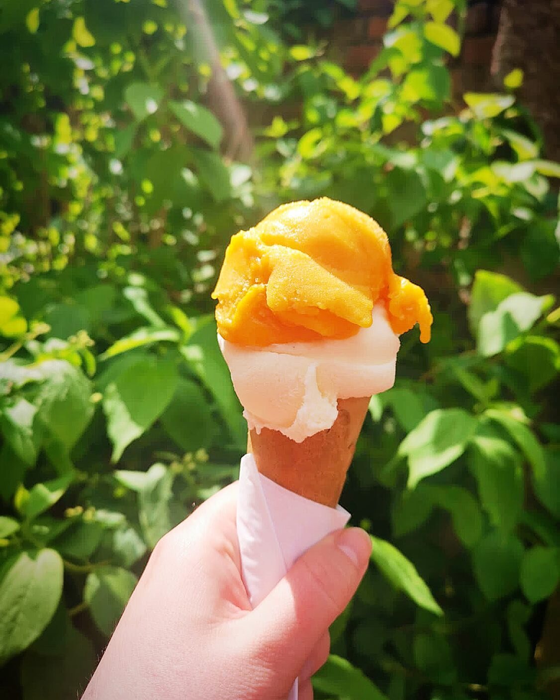 Think we might have cracked it! 🧑&zwj;🔬

A double scoop consisting of Kesar Mango Sorbet + Vanilla Bean &amp; Clotted Cream = A Solero on absolute steroids 😍

If you love a taste of the summer then grab a double of this and thanks us later 😘