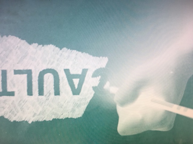 image1.jpeg