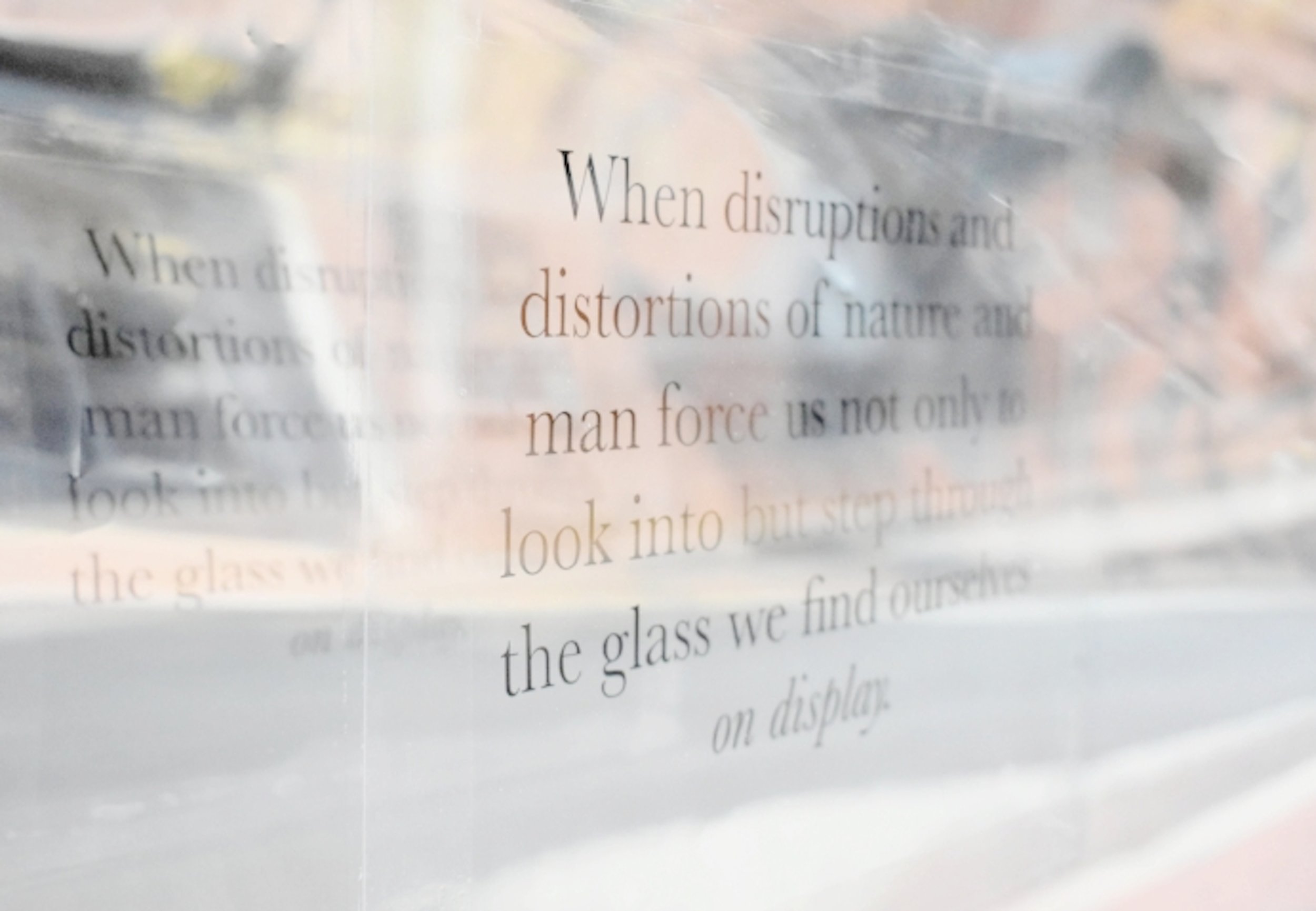 On Display (2017). Window installation by Robyn Thomas.