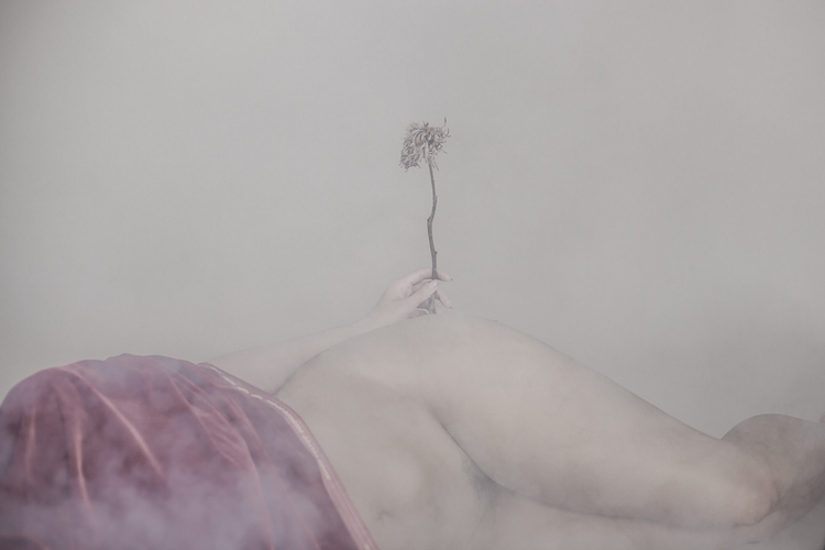 Fallen Petals