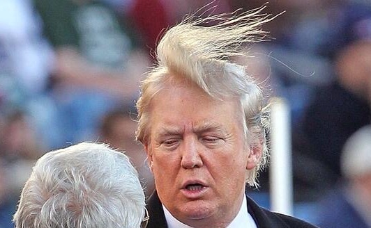 Donald Trump’s combover blown over, source unknown.