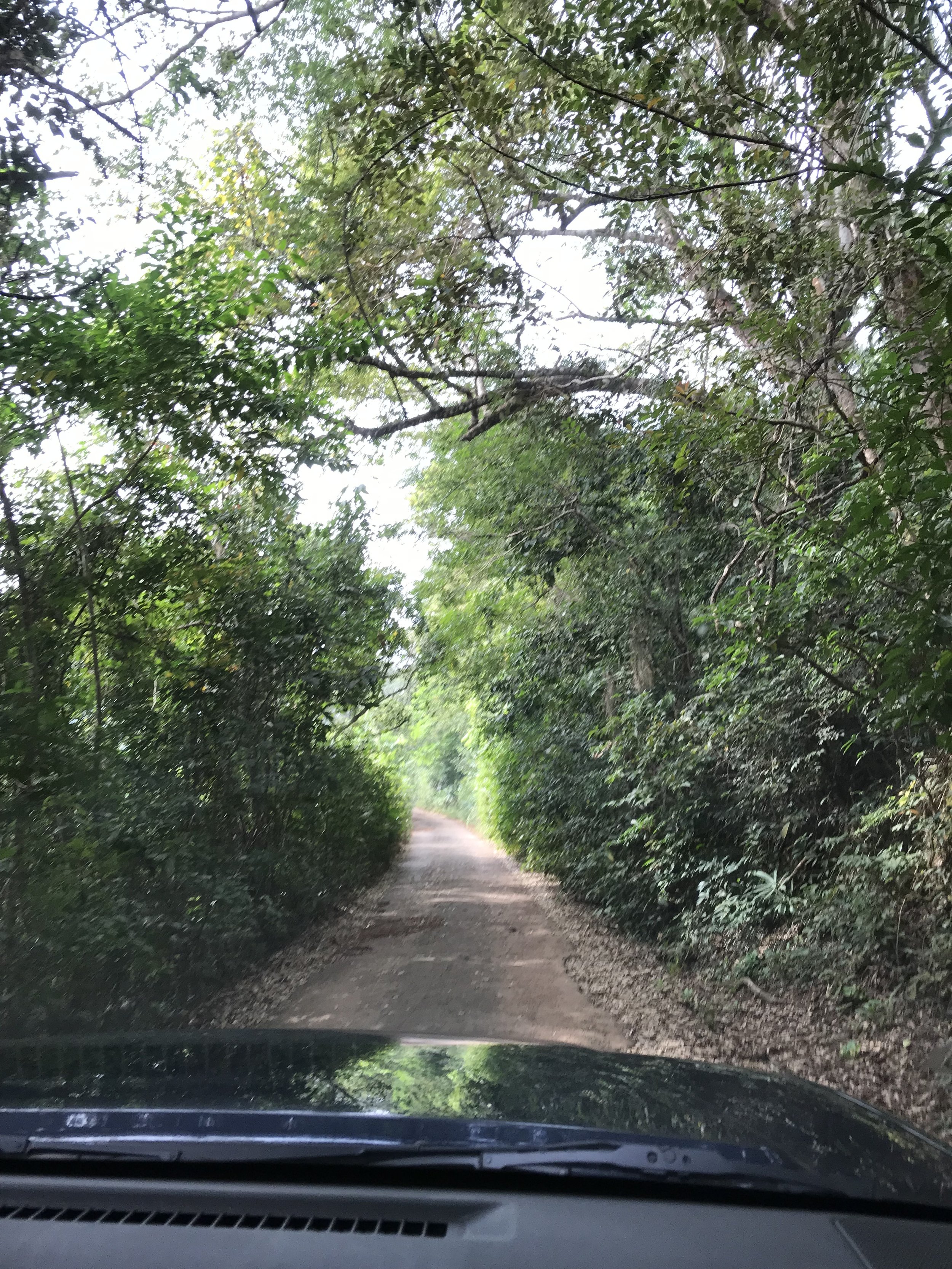  The road to the chimp rescue. &nbsp;Not long before the big hill. 