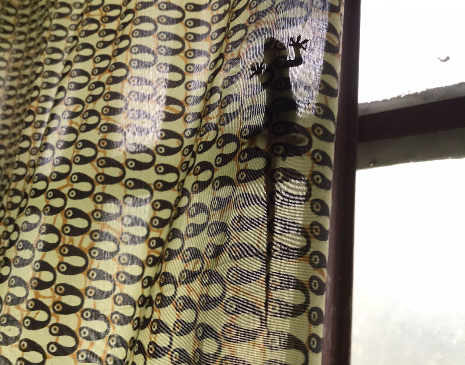  I woke up to find this critter on the curtain.  So I guess I shared a room with a mouse AND a lizard.  But no mosquitos.  So there’s that. 